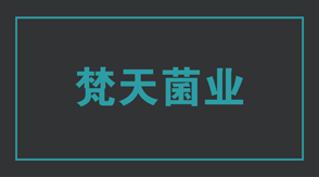 食品行業(yè)工作服設(shè)計(jì)款式